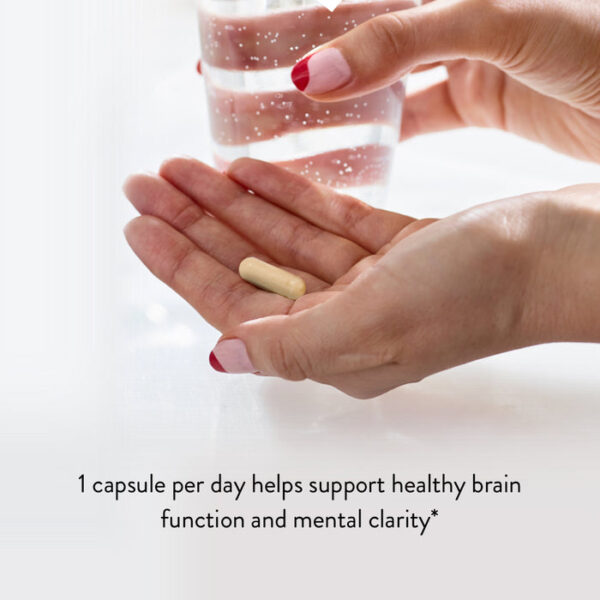 Big Brain Probiotics - Image 3