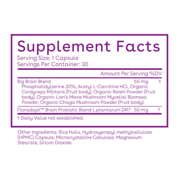 Big Brain Probiotics - Image 7